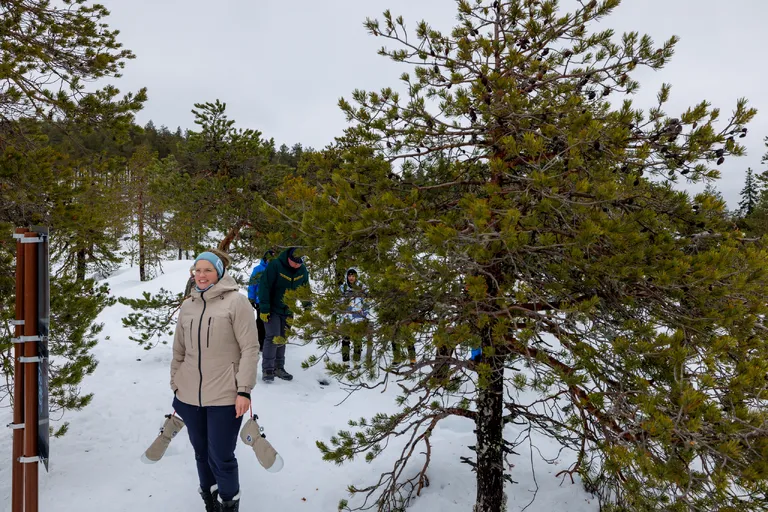 Ylläsjärvi, Finnland – Reisefoto vom 13. März 2026, Aufnahme 11
