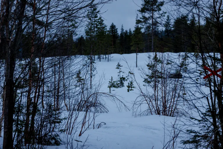 Gällivare, Schweden – Reisefoto vom 16. März 2026, Aufnahme 1