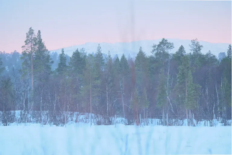 Svanvik, Norwegen – Reisefoto vom 19. März 2026, Aufnahme 2