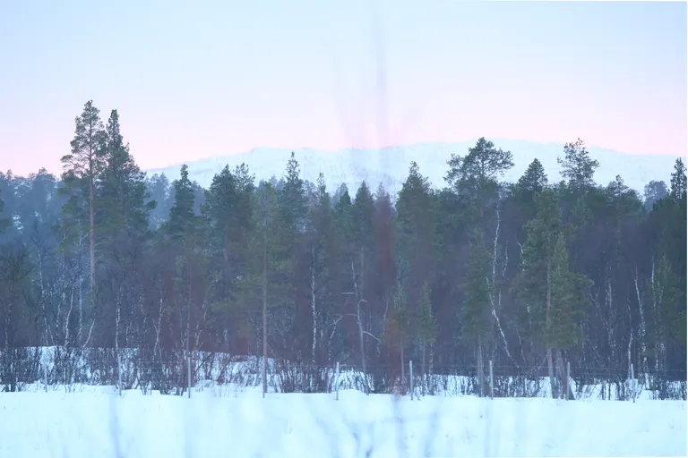Svanvik, Norwegen – Reisefoto vom 19. März 2026, Aufnahme 3