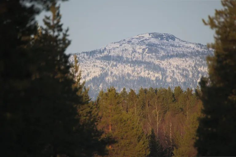Pasvik, Norwegen – Reisefoto vom 21. März 2026, Aufnahme 12