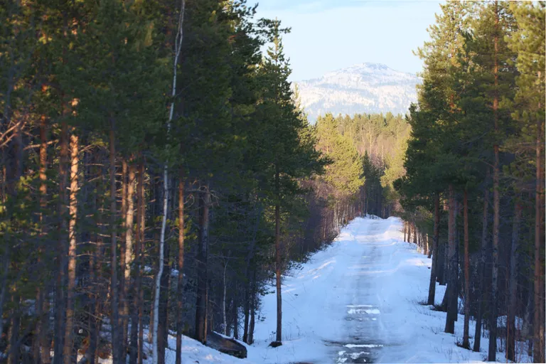 Pasvik, Norwegen – Reisefoto vom 21. März 2026, Aufnahme 13