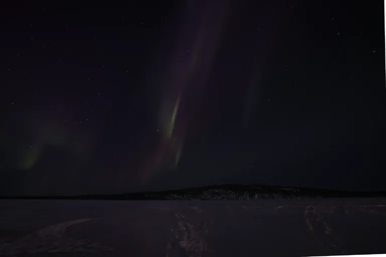 Pasvik, Norwegen – Reisefoto vom 21. März 2026, Aufnahme 93