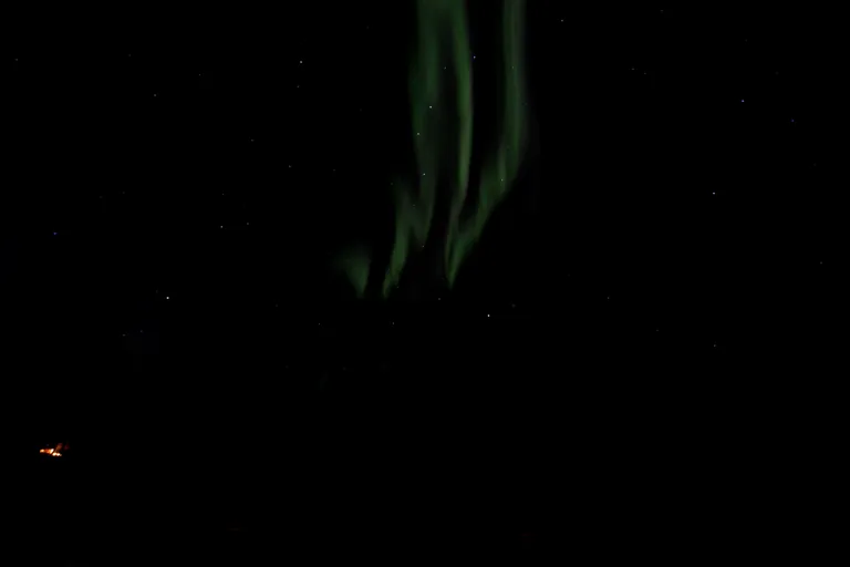 Pasvik, Norwegen – Reisefoto vom 21. März 2026, Aufnahme 124