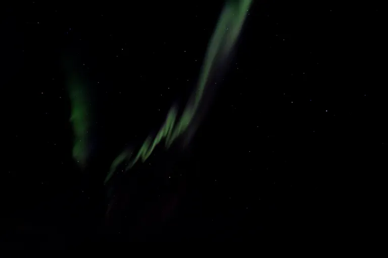 Pasvik, Norwegen – Reisefoto vom 21. März 2026, Aufnahme 127