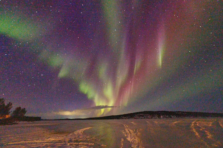 Pasvik, Norwegen – Reisefoto vom 21. März 2026, Aufnahme 129