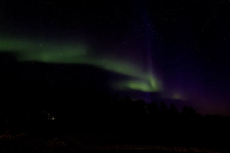 Pasvik, Norwegen – Reisefoto vom 22. März 2026, Aufnahme 16