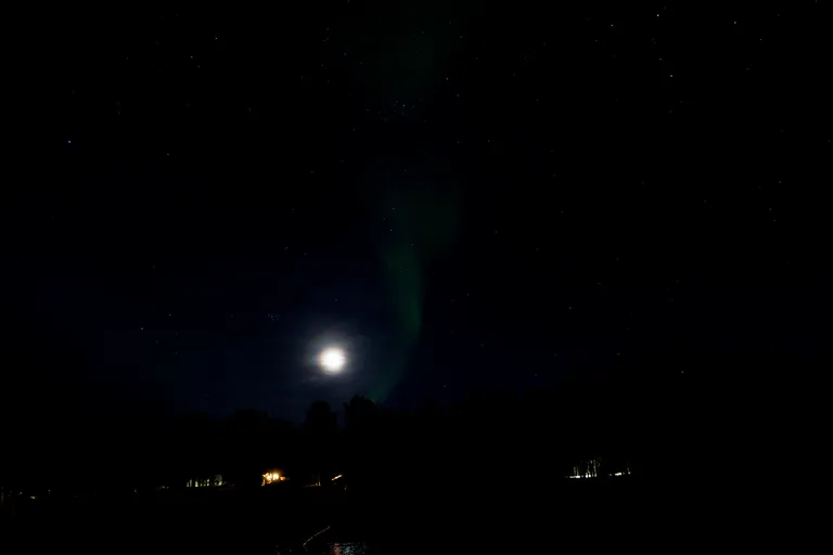 Pasvik, Norwegen – Reisefoto vom 22. März 2026, Aufnahme 37