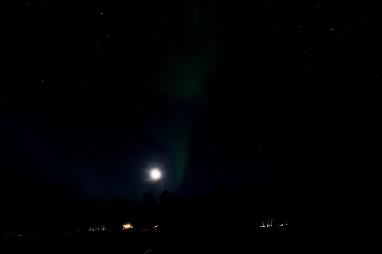 Pasvik, Norwegen – Reisefoto vom 22. März 2026, Aufnahme 38