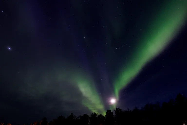 Pasvik, Norwegen – Reisefoto vom 22. März 2026, Aufnahme 42