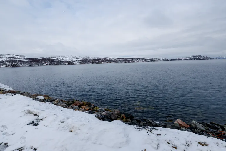 Pasvik, Norwegen – Reisefoto vom 25. März 2026, Aufnahme 54