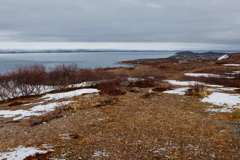 Pasvik, Norwegen – Reisefoto vom 25. März 2026, Aufnahme 56