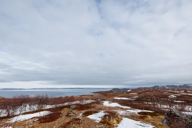 Pasvik, Norwegen – Reisefoto vom 25. März 2026, Aufnahme 59