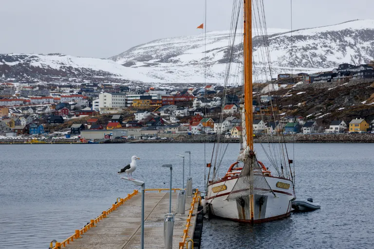 Rypefjord, Norwegen – Reisefoto vom 26. März 2026, Aufnahme 9