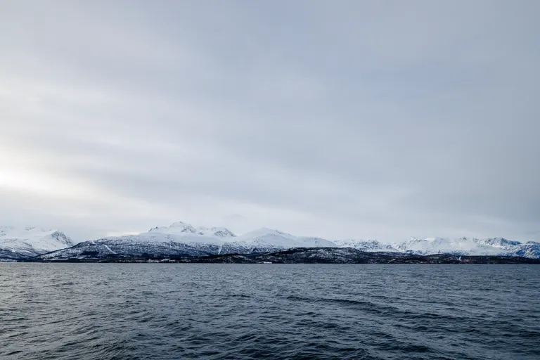 Samuelsberg, Norwegen – Reisefoto vom 28. März 2026, Aufnahme 17