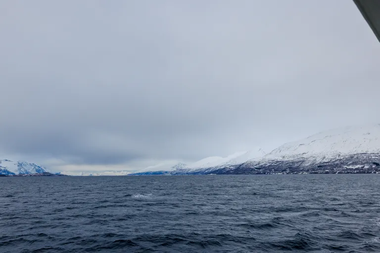 Samuelsberg, Norwegen – Reisefoto vom 28. März 2026, Aufnahme 19