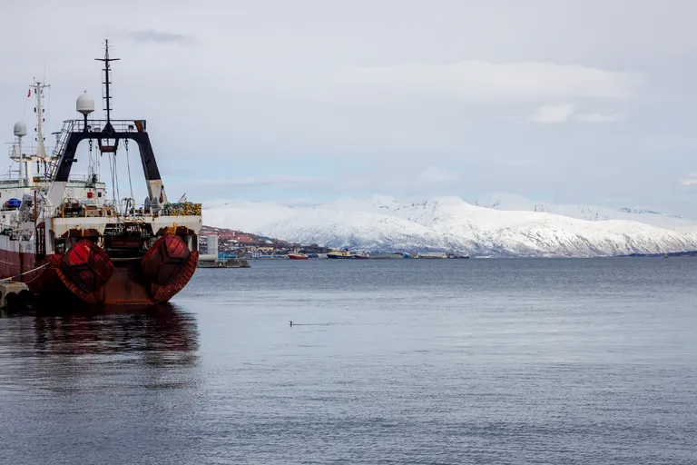 Tromsdalen, Norwegen – Reisefoto vom 29. März 2026, Aufnahme 6