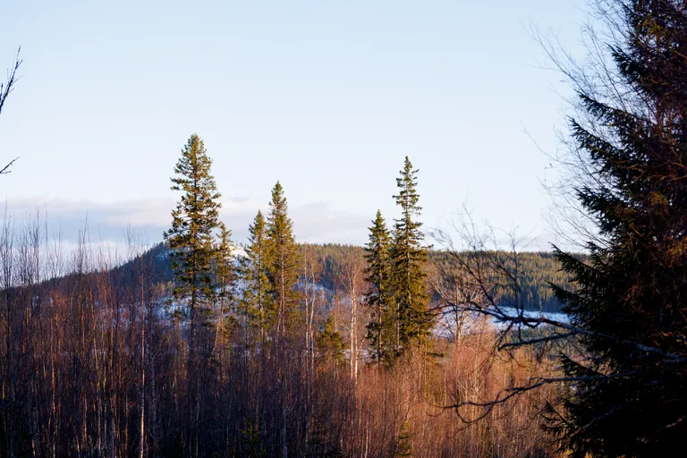 Järpen, Schweden – Reisefoto vom 7. April 2026, Aufnahme 17