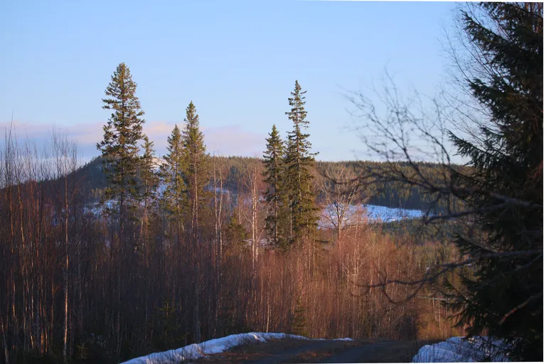 Järpen, Schweden – Reisefoto vom 7. April 2026, Aufnahme 18