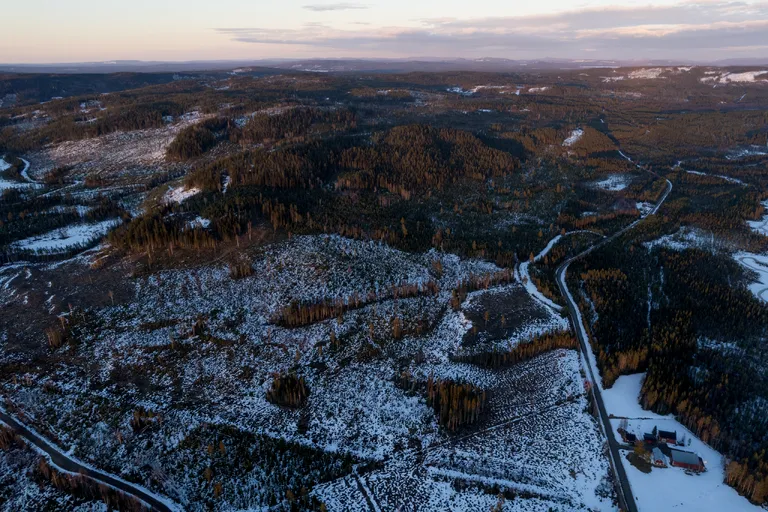 Hoting, Schweden – Reisefoto vom 7. April 2026, Aufnahme 37