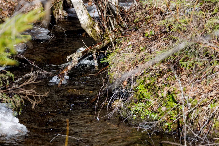 Järpen, Schweden – Reisefoto vom 8. April 2026, Aufnahme 2