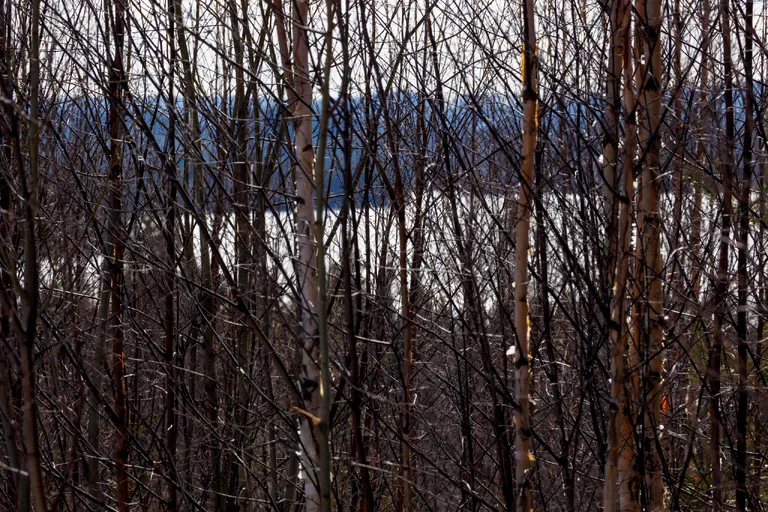 Järpen, Schweden – Reisefoto vom 8. April 2026, Aufnahme 7