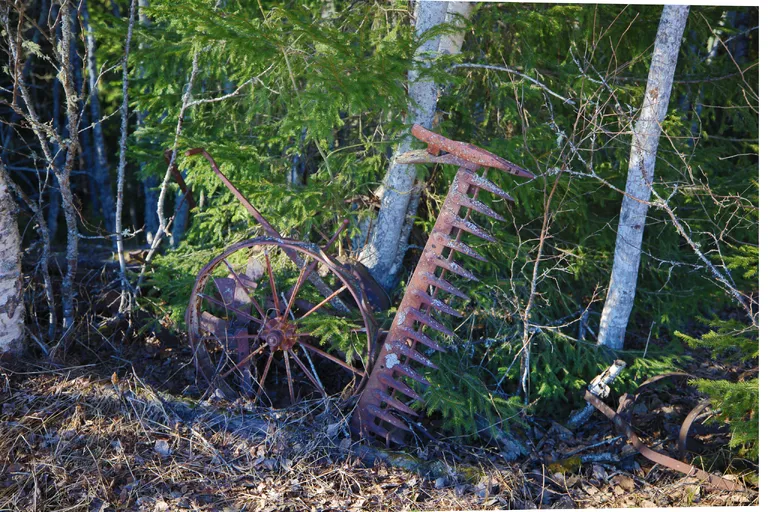 Järpen, Schweden – Reisefoto vom 10. April 2026, Aufnahme 69