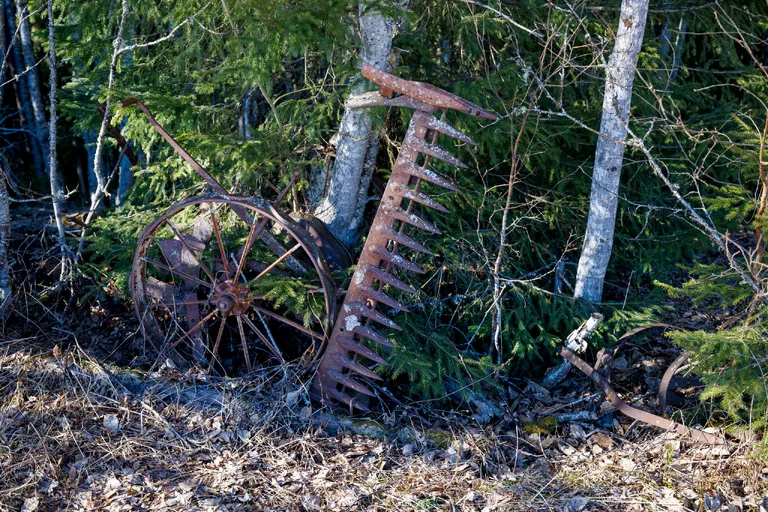 Järpen, Schweden – Reisefoto vom 10. April 2026, Aufnahme 70