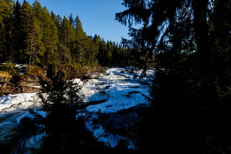 Järpen, Schweden – Reisefoto vom 10. April 2026, Aufnahme 86