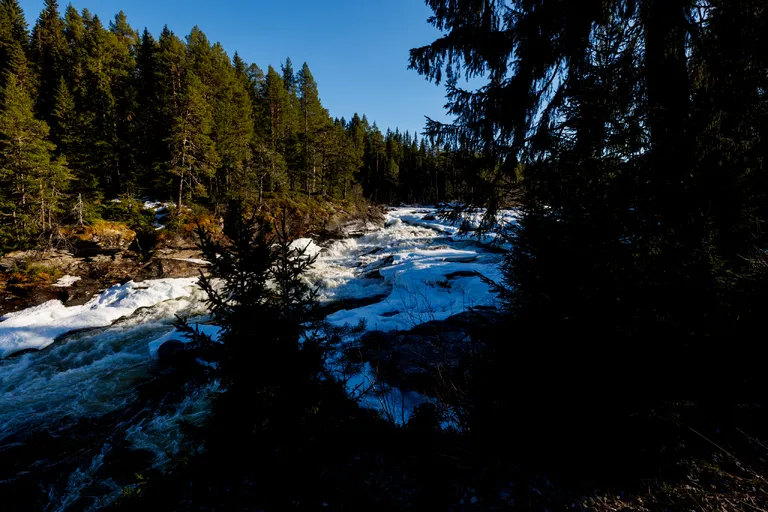 Järpen, Schweden – Reisefoto vom 10. April 2026, Aufnahme 88