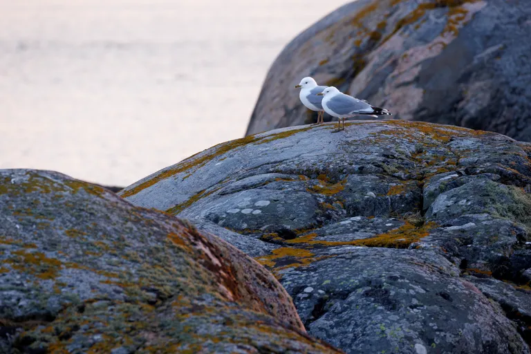 Fotö, Schweden – Reisefoto vom 12. April 2026, Aufnahme 3