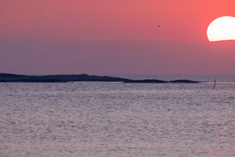 Fotö, Schweden – Reisefoto vom 12. April 2026, Aufnahme 20
