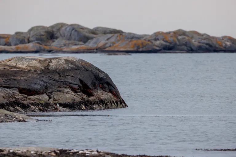 Fotö, Schweden – Reisefoto vom 13. April 2026, Aufnahme 7