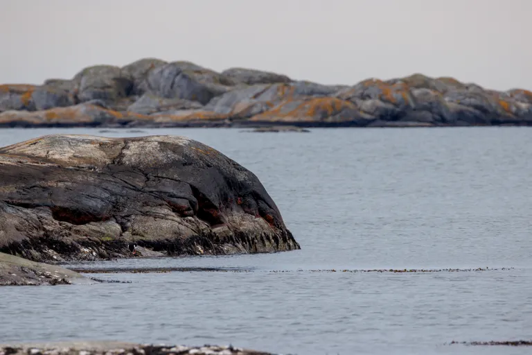 Fotö, Schweden – Reisefoto vom 13. April 2026, Aufnahme 8