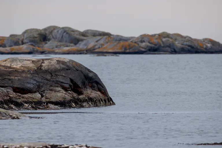 Fotö, Schweden – Reisefoto vom 13. April 2026, Aufnahme 9